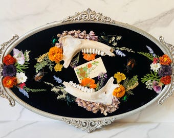 Framed Insect Art: Beetles, Bone, Botanicals, Antique Convex Glass