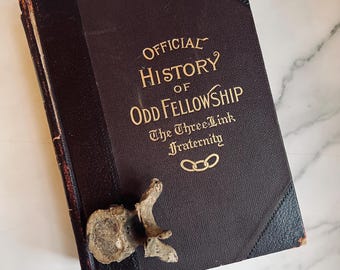 1904 Official History of Odd Fellowship the Three-Link Fraternity: Antique Book; Occult; Witchy; Dark Academia