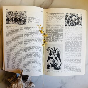 May include: An open book with illustrations of devils and angels, featuring text about demons and the occult. A dried flower stem and a decorative wooden object are also present.