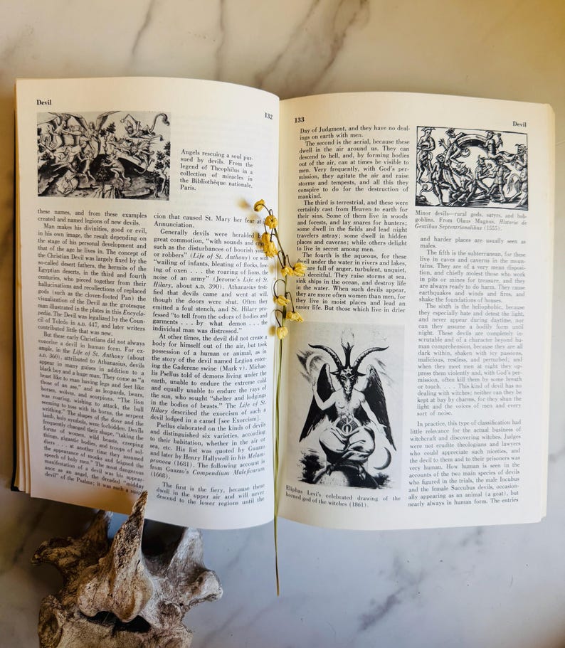 May include: An open book with illustrations of devils and angels, featuring text about demons and the occult. A dried flower stem and a decorative wooden object are also present.