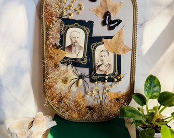 Antique Gold Convex Frame, Spider, Butterflies, Dried Botanicals, Tintypes