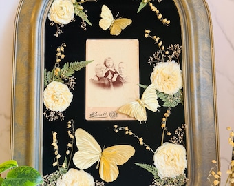 Bellamortua - Framed Insect Art: Gold Leaf Gilded Butterflies, Cabinet Card, Botanicals, Antique Convex Glass