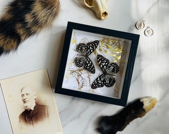 Oddities Mystery Box: Witchy Goth, Dark Academia Decor