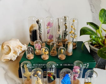 Mini Museum; Mini Cloche Set