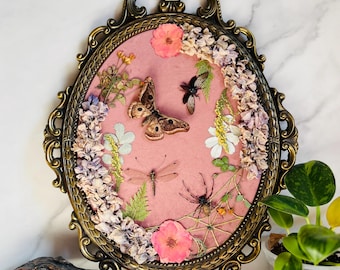 Real Insect & Botanical Art, Antique Convex Brass Frame