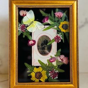 Echte Insektenkunst; Echter Schmetterling; Kunstvoller Vintage Bilderrahmen; Witchy Goth Dekor; Dunkle Academia; Baumwollgarn