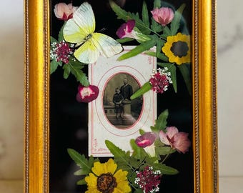 Real Insect Art; Real Butterfly; Ornate Vintage Frame; Witchy Goth Decor; Dark Academia; Cottagecore