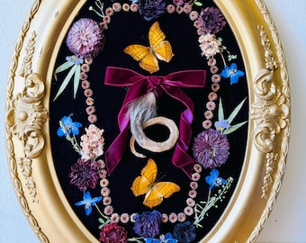 Framed Insect Art: Butterflies, Mummified Tail, Botanicals, Antique Convex Glass