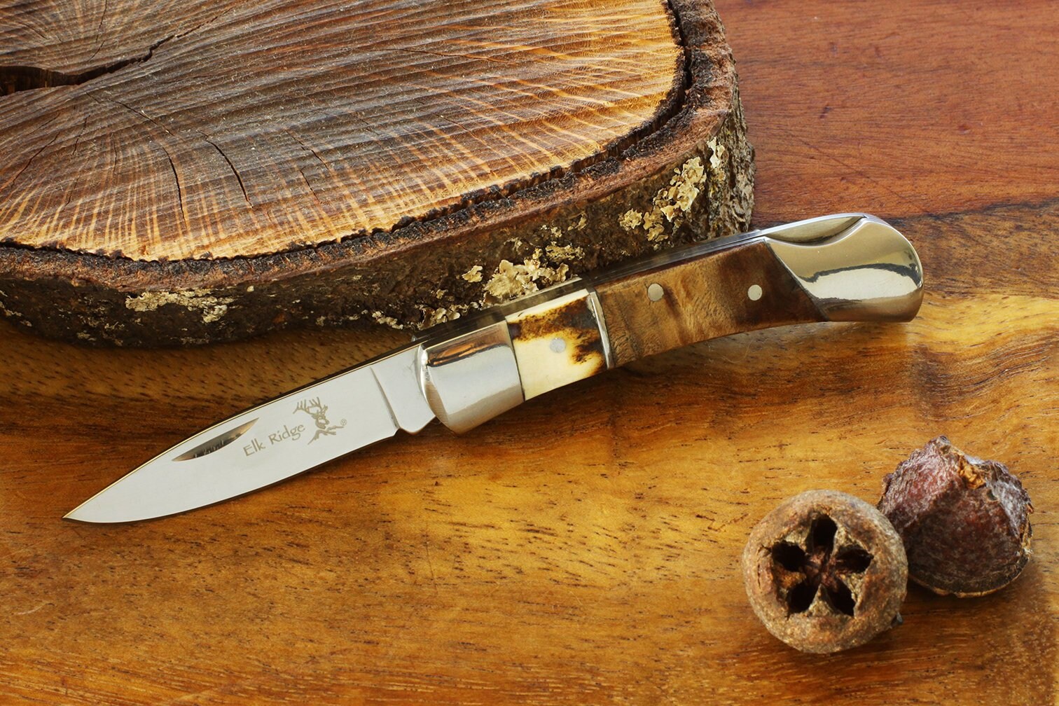 Engraved Tiny Pocket Knife Small Elkridge Stag Horn and Wood Handle