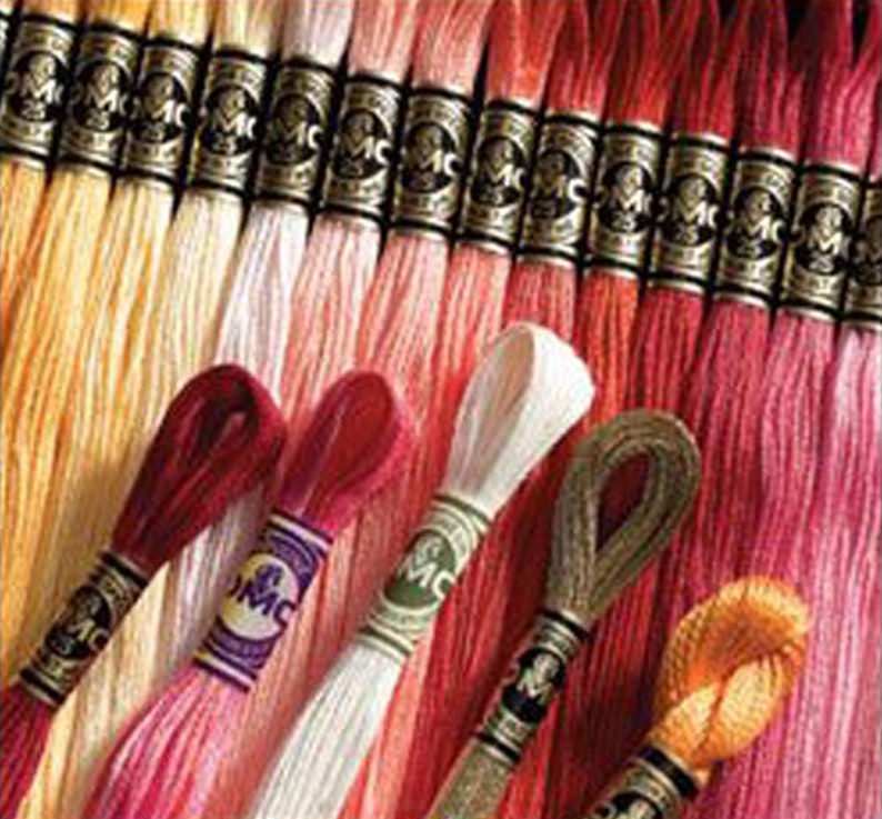 Pack of 12 Embroidery Mouliné Floss - DMC