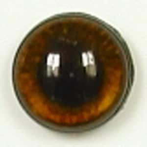 May include: A close-up of a brown glass eye with a black pupil. The eye is surrounded by a silver rim.