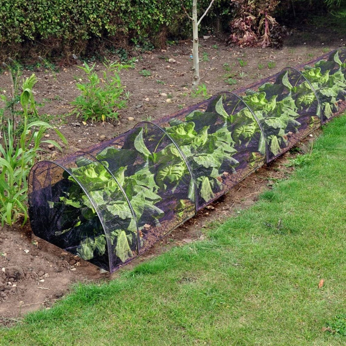 Robust Netting Garden Growing Tunnel 3m x 450mm x 450mm Etsy