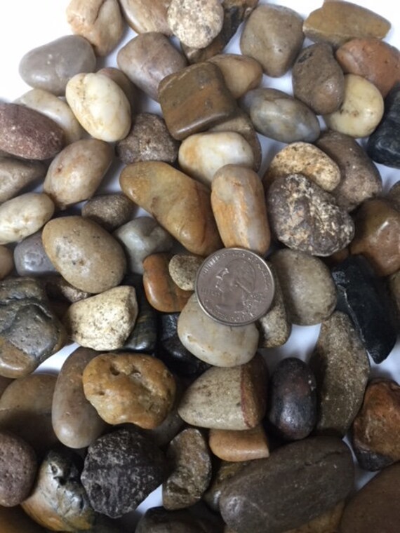 Decorative River Rocks Etsy
