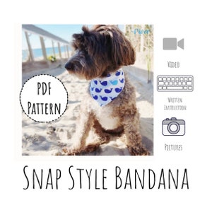 Peut inclure: Un chien brun et blanc portant un bandana à motif de baleines bleu et blanc. Le bandana est un bandana à pression. Le chien est assis sur une plage de sable. L'image comprend le texte "PDF PATTERN" et "SNAP STYLE BANDANA".