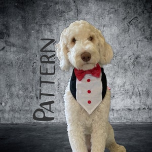 PDF PATTERN/Tutorial Bowtie Over the Collar dog Bandana - Instant Download - PDF - 4 sizes included