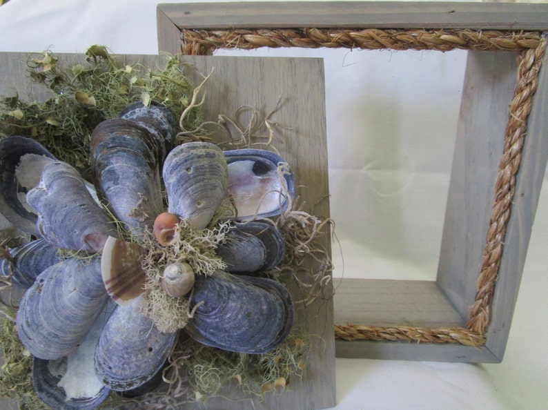 Sea Shell Shadow BoxMaine Mussel Shells With Native Maine Moss