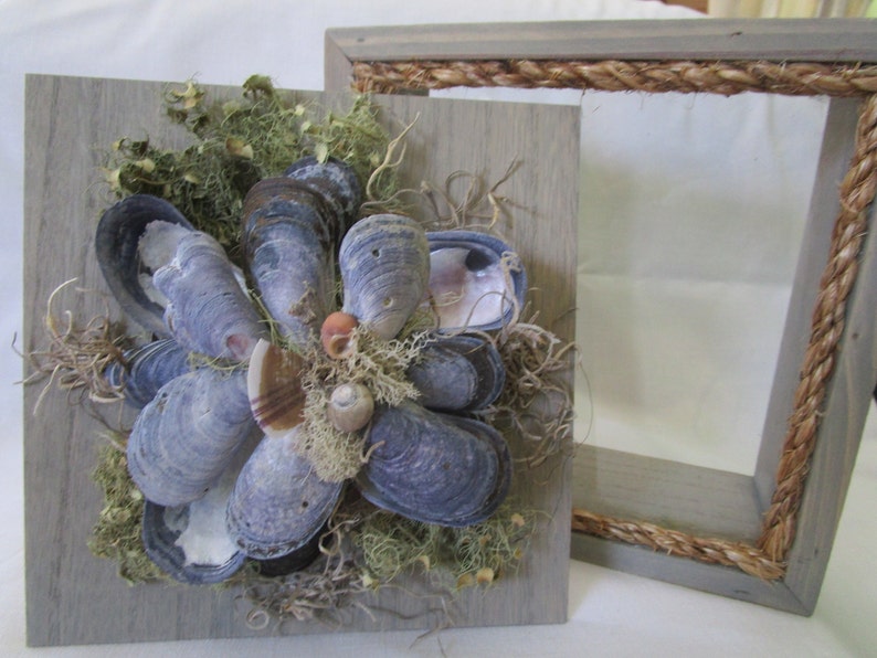 Sea Shell Shadow BoxMaine Mussel Shells With Native Maine Moss
