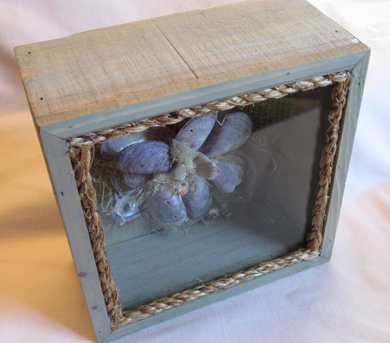 Sea Shell Shadow BoxMaine Mussel Shells With Native Maine Moss