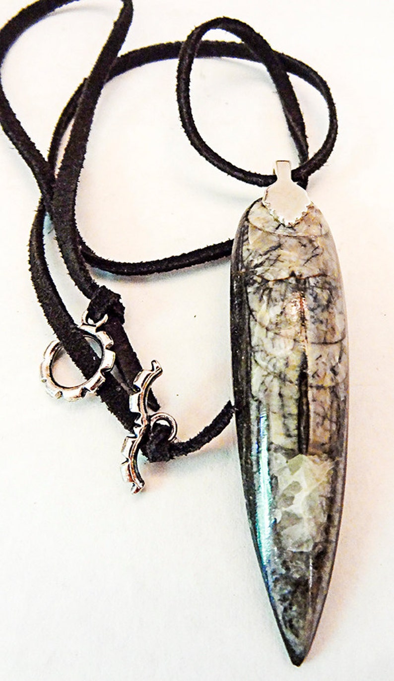 real fossil necklace