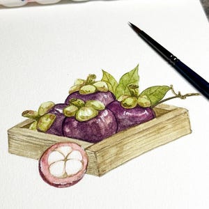 Original Painting Mangosteen Watercolor Painting wall art