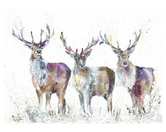 A3 Giclee Print Wildlife Highland  Stags , stag watercolour wall art print by licensed artist Nicola jane rowles