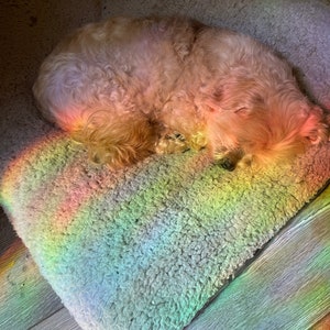 May include: A small, light brown dog sleeping on a fluffy, gray dog bed. A rainbow of light is shining on the bed.