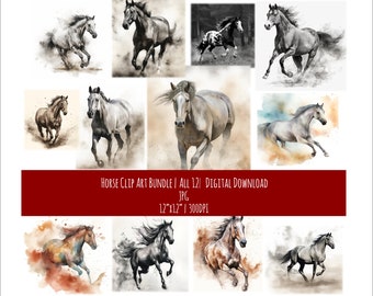 Horse Art Bundle | Equine Art | Digital Download | Illustration | Wall Decor | Clip Art | Gift for Horse Lover | Watercolor | 12 JPG Files