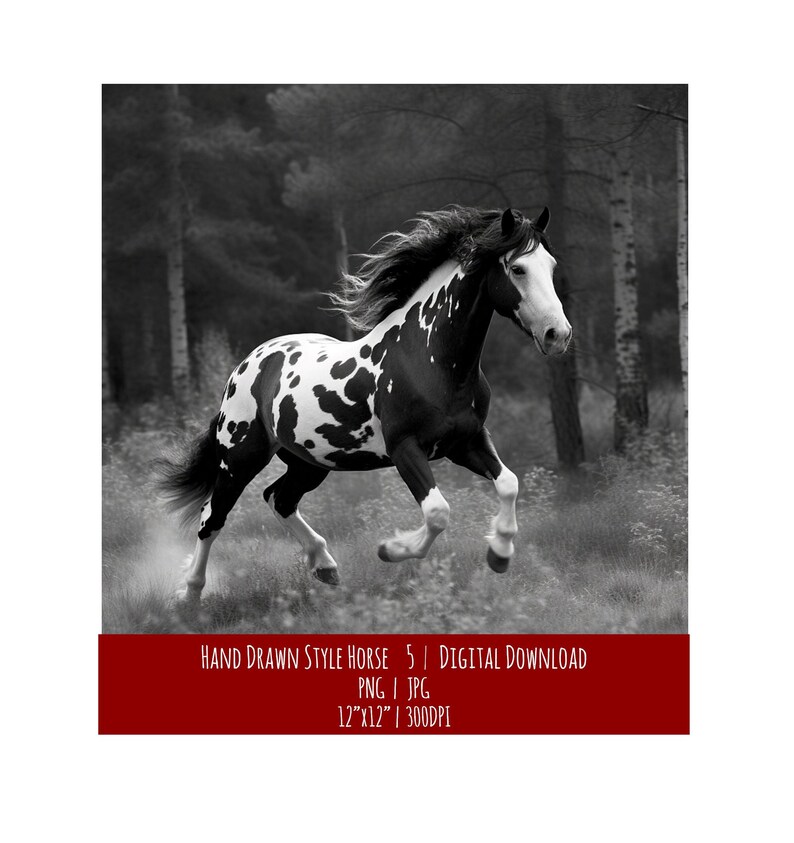 Hand Drawn Horse Illustration: Equine Art Print (Digital Download), photo 1 of 2