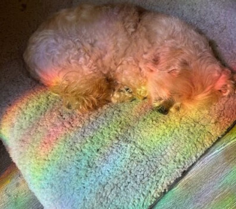 Magic Mushroom Suncatcher Sticker 3" Diameter. Rainbow Maker. Prismatic Window Sticker…, photo 5 of 8
