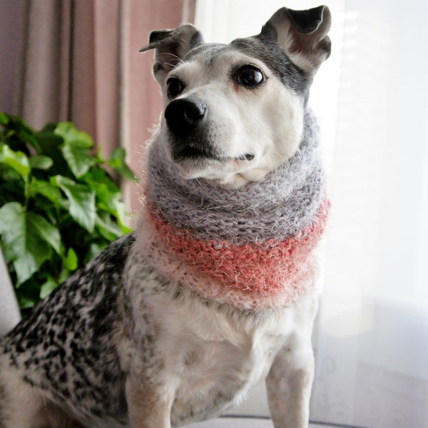 Knitted Dog Scarf Etsy