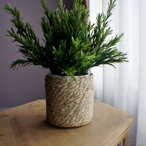 Może przedstawiać: Zielona roślina doniczkowa z długimi, wąskimi liśćmi w doniczce z plecionego sznurka. Doniczka stoi na drewnianym stole z ozdobnym wzorem.