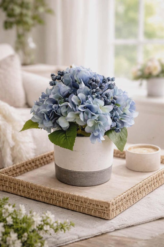 blume in topf 5 ausgefallene Blumen, die du am Muttertag statt eines Straußes verschenken kannst Tupperware Smidgets Tiny Treasure