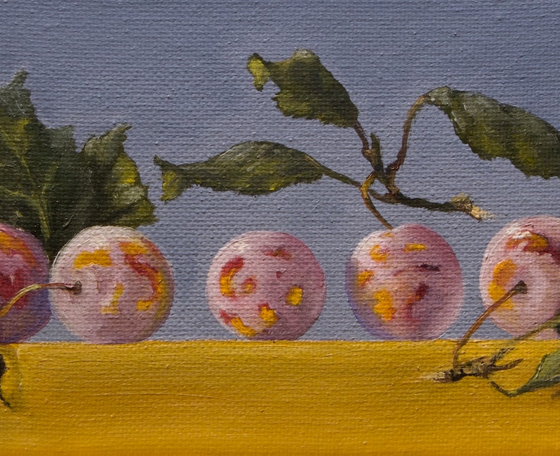 May include: Five pink plums with yellow and red markings sit on a yellow surface. Green leaves with brown stems are behind the plums.