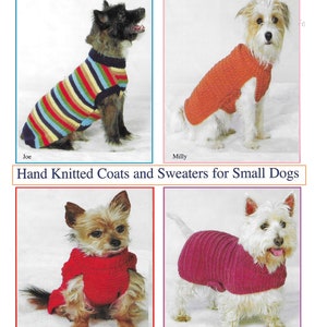May include: Four small dogs wearing hand-knitted sweaters in various colors and styles. The sweaters are designed for small dogs and are available in sizes to fit lengths of 25-36 cm. The sweaters are made with double knitting and chunky yarn.