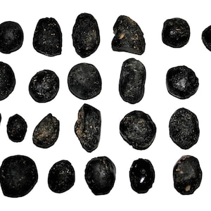 Tektite Glass Meteorite Approx. 1000 gram Lot #16833 41o