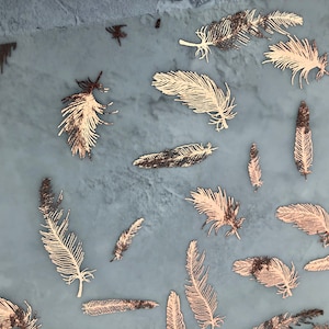 Feathers Foiled Acetate, Vellum, Printed white,