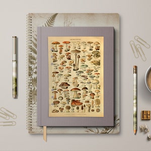 Tableau des champignons Français vintage - Tableau de bord des champignons - Tableau de bord vintage - Tableau de bord du planificateur