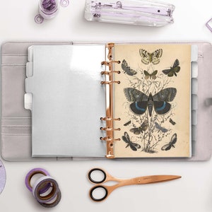 Papillons vintage - Planner Dashboard - Agenda vintage