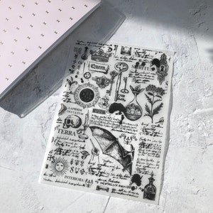 May include: Black and white transparent sheet with various images and text, including a skull, a key, a crown, a bat, a sun, a bottle, and the words "Queen", "Spiritus", "Terra", and "Interiora".
