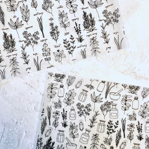 Erbe, Farmacia, Acetato erboristico laminato, Vellum, Bianco stampato,