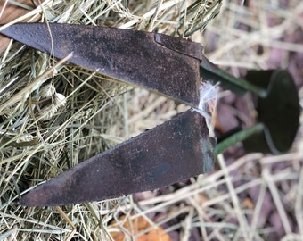 Steel Antique Sheep Shears Green Handle
