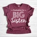 Promoted to Big Sister Gift Shirt, Big Sister Shirt, Baby Announcement Shirt, Toddler, Youth Shirt for Big Sister, New Big Sister, Soft 