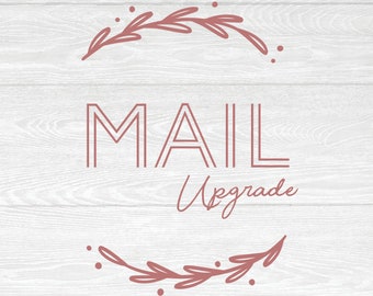 Priority or Express Mail Upgrade - Only puchase if you have already checked out and forgot to upgrade mail at checkout