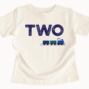 Train Shirt, Birthday, ANY AGE! Choo Choo Birthday Boy Shirt, Birthday Train Outfit, Train Party Outfit, First, Third, Fourth, Fifth