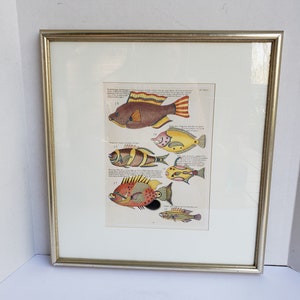 Colorful Lithograph of Numbered Fish - Wood Framed - Louis Renard