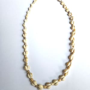May include: A white shell necklace with a gold thread running through the shells.
