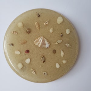 Puede incluir: Un posavasos redondo de resina beige con una variedad de pequeñas conchas incrustadas en la superficie. Las conchas son una mezcla de blanco, marrón y beige.