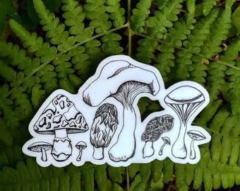 Mushroom Weatherproof Vinyl sticker decal. Bumper sticker, Waterbottle, Art, Mushrooms, Mushroom hunting, Foraging, Chantrelle, Morel