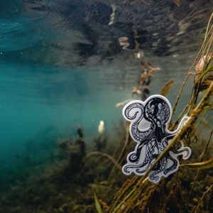 May include: A black and white octopus sticker with intricate details is attached to a green plant stem underwater. The sticker is partially submerged in the water, with the background showing a blurry blue and green underwater scene.
