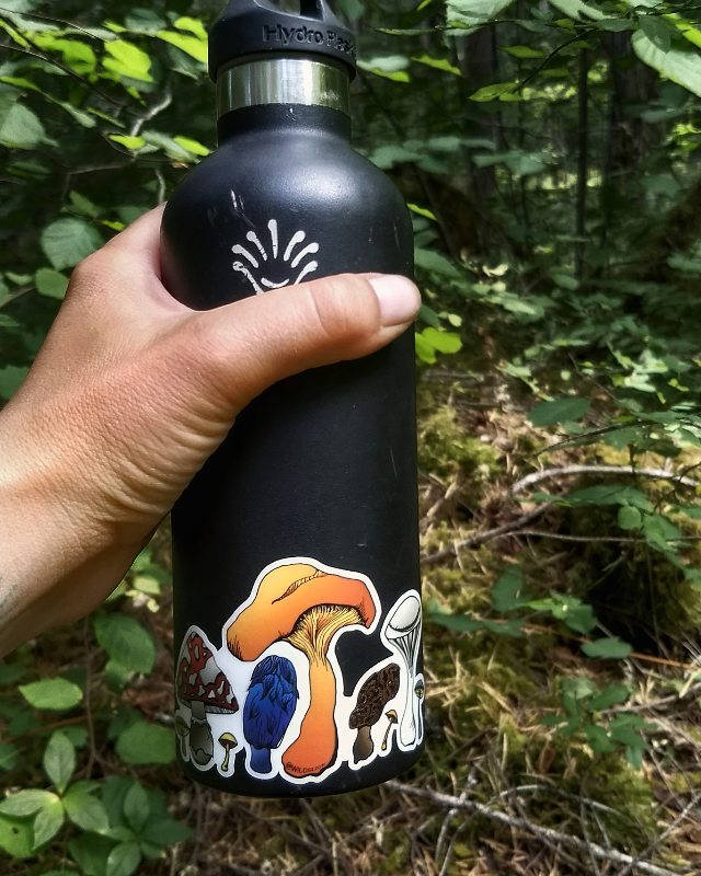 Mushroom Weatherproof Vinyl Sticker Decal. Bumper Sticker, Waterbottle ...